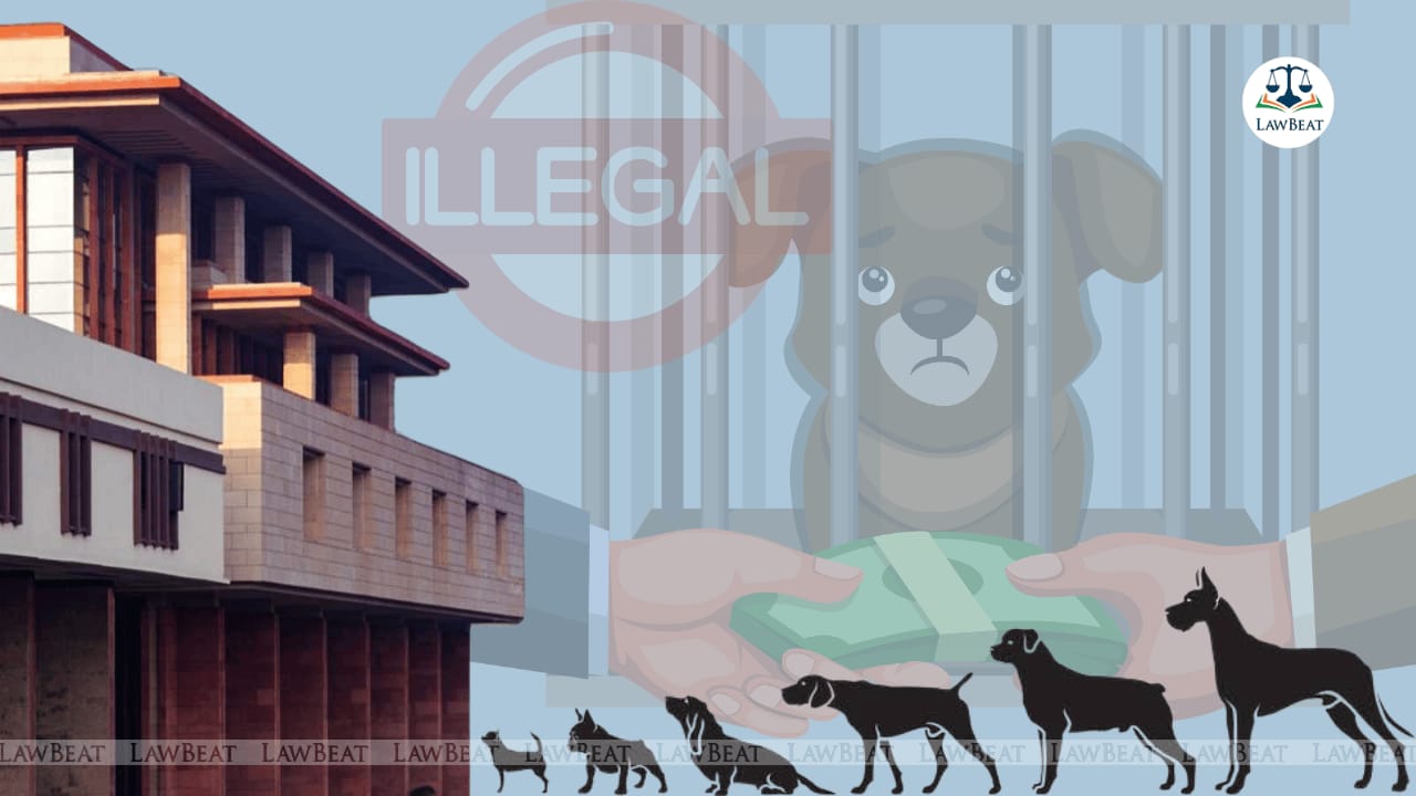 Despite An Increase In Dog Bites, Animal Husbandry Department Fails To Take Steps To Control Illegal Breeding: Delhi HC Despite An Increase In Dog Bites, Animal Husbandry Department Fails To Take Steps To Control Illegal Breeding: Delhi HC